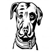 Lagunitas Brewing Company