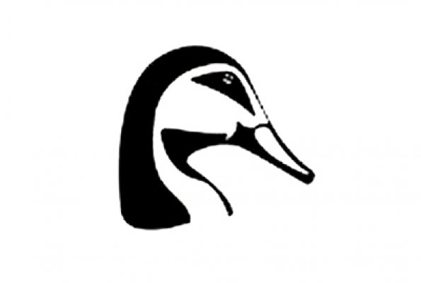 Black Duck Brewery