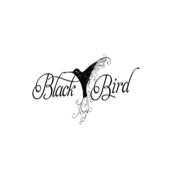 Blackbird