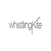 Whistling Kite