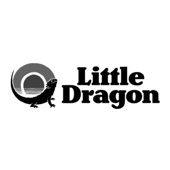 Little Dragon (Stone & Wood)