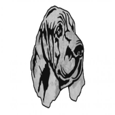Bloodhound Corner Bar