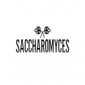 Sacchromyces Beer Cafe
